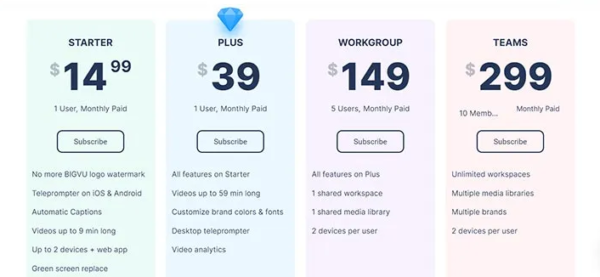 Bigvu Pricing Plans